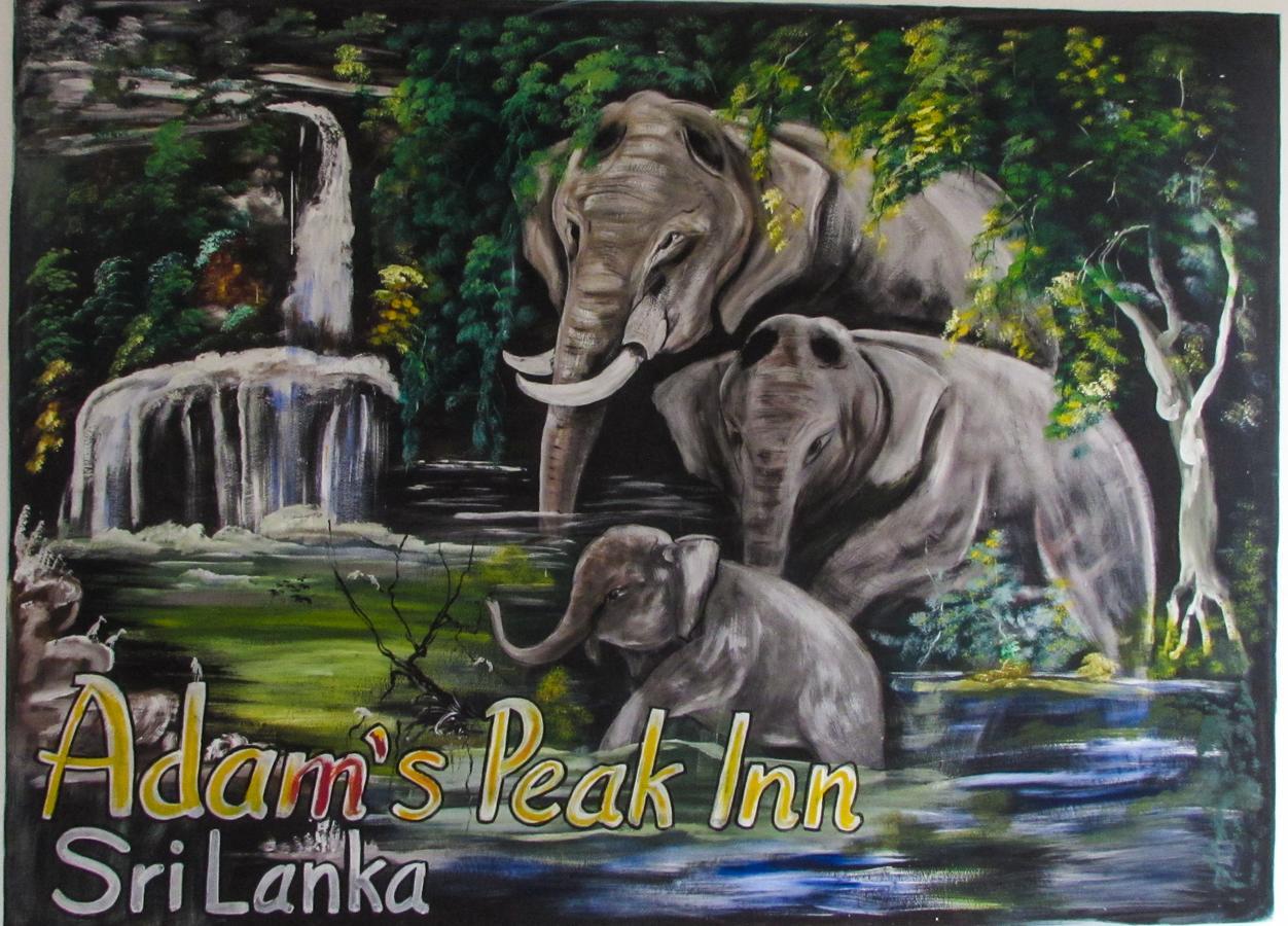 Adams Peak Inn نالاثانيا المظهر الخارجي الصورة